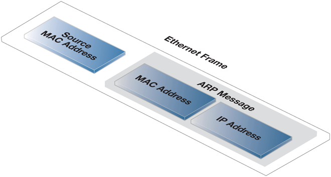 An ARP Publish Ethernet Frame