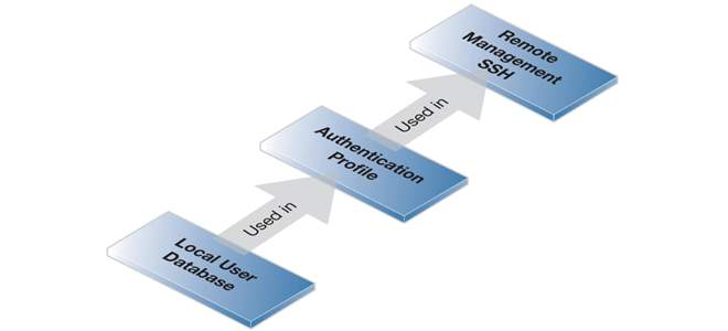 Local User Database Usage with SSH