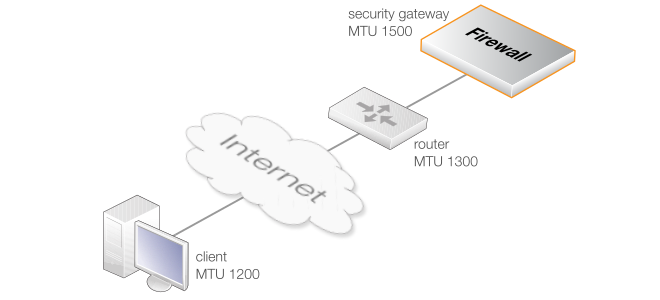 MTU Path Discovery Endpoint Example