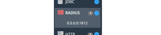 Display Saved RADIUS Connections